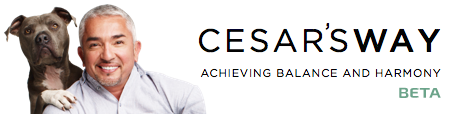 cesarsway-logo_beta