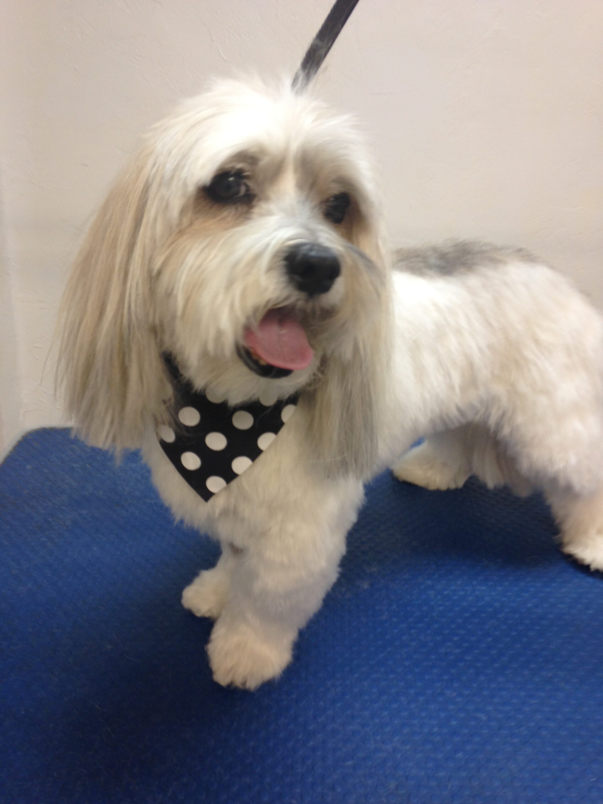 Aug.23rd-MoreGuests036