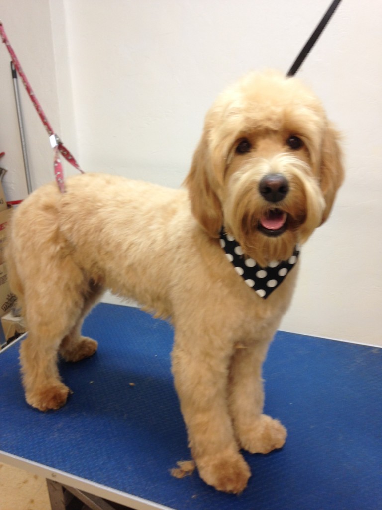 August18th-DGandGrafton021-1-768x1024