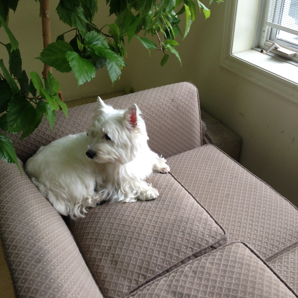 Website-NEW-PAGE-NO.-2-0791-1024x1024